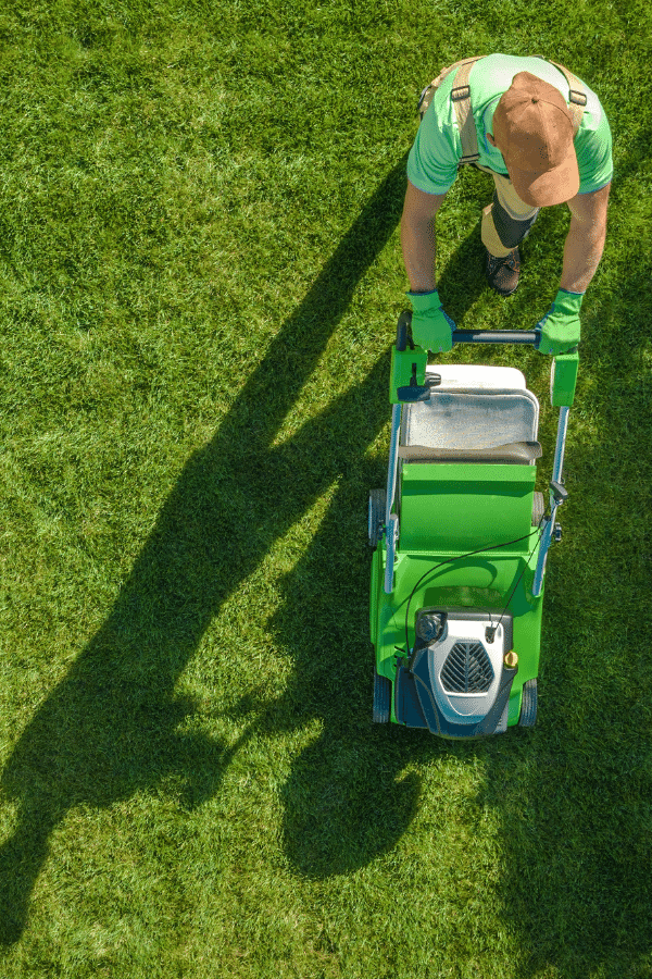 Landscaping Services Darwin