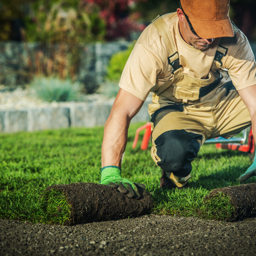 Landscaping Services Darwin